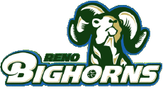 Sport Basketball U.S.A - N B A Gatorade Reno Bighorns 