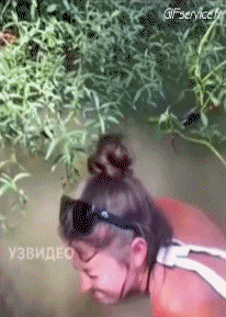 Humor -  Fun Tiere Fisch 01 