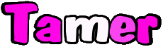 First Names MASCULINE - Maghreb Muslim T Tamer 