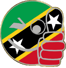 Flags America Saint Kitts and Nevis Smiley - OK 
