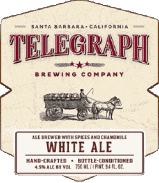 White ale-Bebidas Cervezas USA Telegraph Brewing 