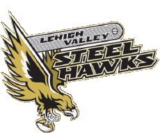 Deportes Fútbol Americano U.S.A - NAL National Arena League Lehigh Valley Steelhawks 