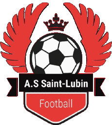 Sportivo Calcio  Club Francia Centre-Val de Loire 41 - Loir et Cher As Saint Lubin 