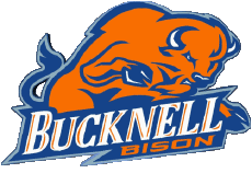 Deportes N C A A - D1 (National Collegiate Athletic Association) B Bucknell Bison 