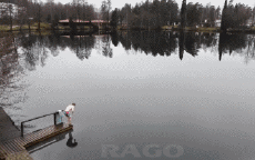 Humor -  Fun MENSCHEN Auf dem Eis Fun - Win 