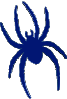 Deportes N C A A - D1 (National Collegiate Athletic Association) R Richmond Spiders 
