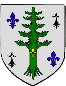 Drapeaux France Départements - Villes 44 VERTOU 