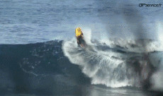 Humour - Fun Sports Surf Fun - Win 