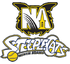 Deportes Béisbol U.S.A - NECBL - New England Collegiate Baseball League North Adams SteepleCats 