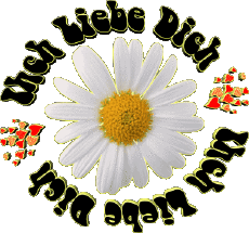 Messages Allemand Ich Liebe Dich 04 