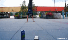 Umorismo -  Fun PERSONE Acrobazie Vari Fun Win 01 