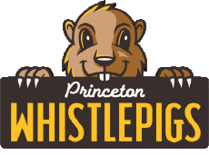 Sports Baseball U.S.A - Appalachian League Princeton WhistlePigs 