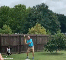 Humor -  Fun Sport Base Ball Serie 01 