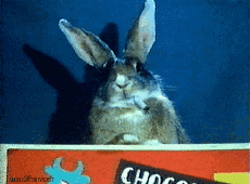 Humor -  Fun Tiere Kaninchen 01 