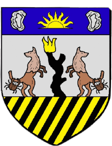 Bandiere Francia Dipartimenti - Città 973 MONTSINERY TONNEGRANDE 