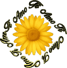 Messages Italien Ti Amo 02 