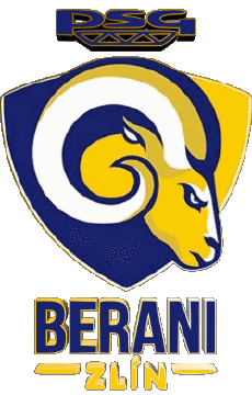 Deportes Hockey - Clubs Chequia Aukro Berani Zlin 