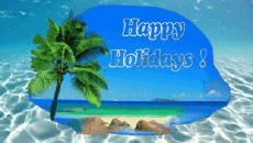 Messagi Inglese Happy Holidays Sfondo animato 002 