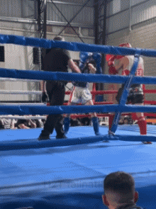 Humor -  Fun Sports Boxe Gamelle Fail 