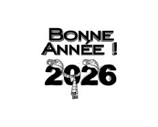 Messages French Bonne Année 2026 01 