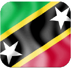 Bandiere America Saint Kitts e Nevis Quadrato 2 