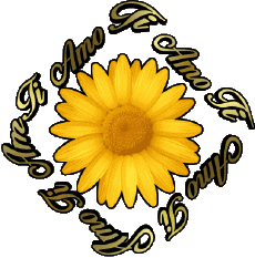 Messages Italien Ti Amo 02 