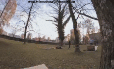 Humor -  Fun Sports Roller Skate Fun - Win 