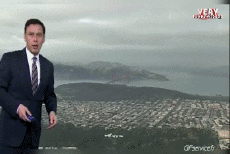 Umorismo -  Fun Animali Uccelli Vari 02 