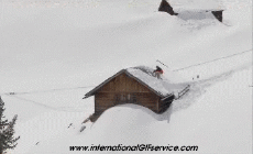 Humor - Fun Deportes Tabla de nieve Free Style Fun Win 