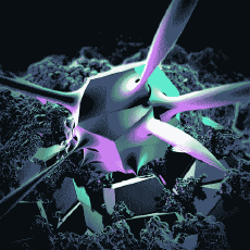 Humor - Fun GIF Artista Connor Bell 