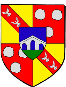 Bandiere Francia Dipartimenti - Città 54 SAINT MAX 