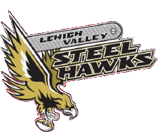 Sports FootBall Américain U.S.A - NAL National Arena League Lehigh Valley Steelhawks 