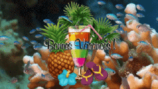 Messages Français Bonnes Vacances Fond Animé 006 