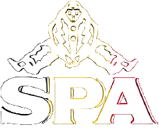 Drinks Mineral water SPA 