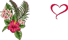 Nachrichten Spanisch Feliz Cumpleaños Floral Transparenter Hintergrund 007 