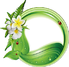 Messages French Bon Anniversaire Floral Transparent Background 011 