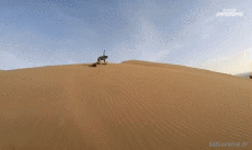 Humor -  Fun Sport Snowboard Auf dem Sand (Sandboarding) 