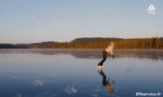 Humor -  Fun Sports Ice skates Fun Win 