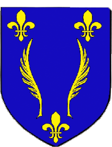 Fahnen Frankreich Abteilungen - Städte 06 MOUGINS 