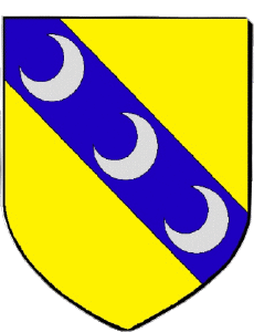 Drapeaux France Départements - Villes 54 LUNEVILLE 