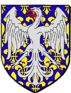 Fahnen Frankreich Abteilungen - Städte 43 LE PUY EN VELAY 