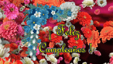 Messages Spanish Feliz Cumpleaños Floral Animated Background 003 