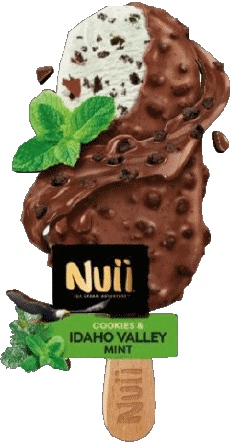 Food Ice cream Nuii 