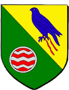 Fahnen Frankreich Abteilungen - Städte 38 FONTAINE 