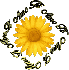 Messages Italian Ti Amo 02 