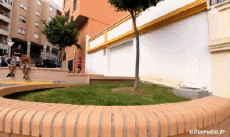 Humor -  Fun PEOPLE Acrobatics Various Fun Win 01 