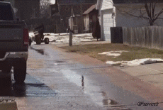 Umorismo -  Fun Trasporti Quad Fail 