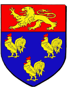 Drapeaux France Départements - Villes 69 CHAPONNAY 