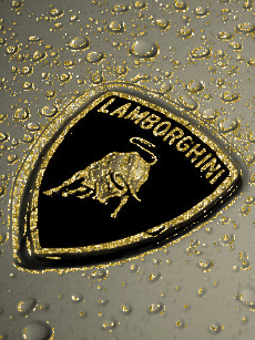Transporte Coche Langorghini Logo 