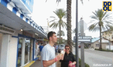 Humor -  Fun Tiere Geflügel Möwen 